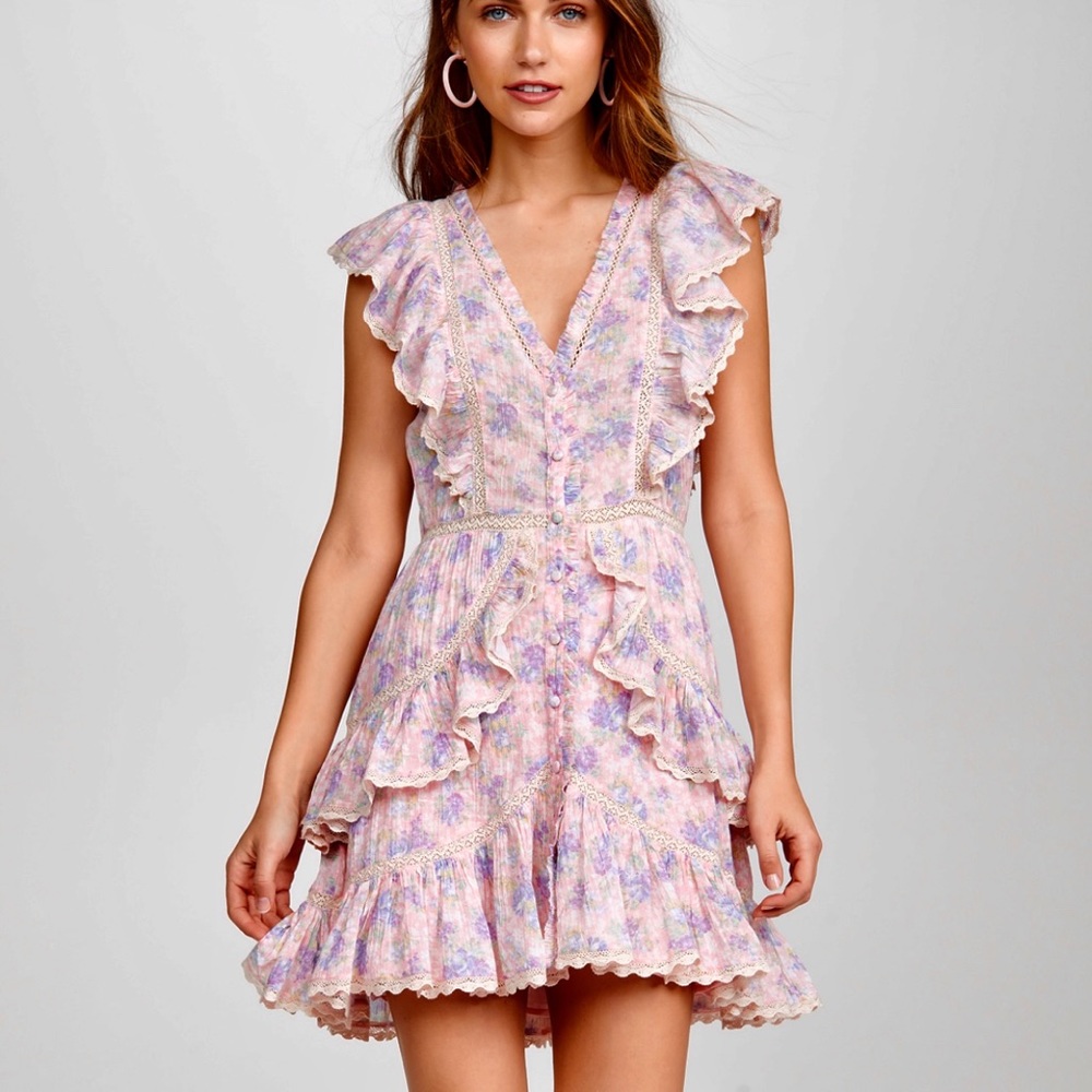 Like New LoveShackFancy India Mini Dress in Pink Garden size small